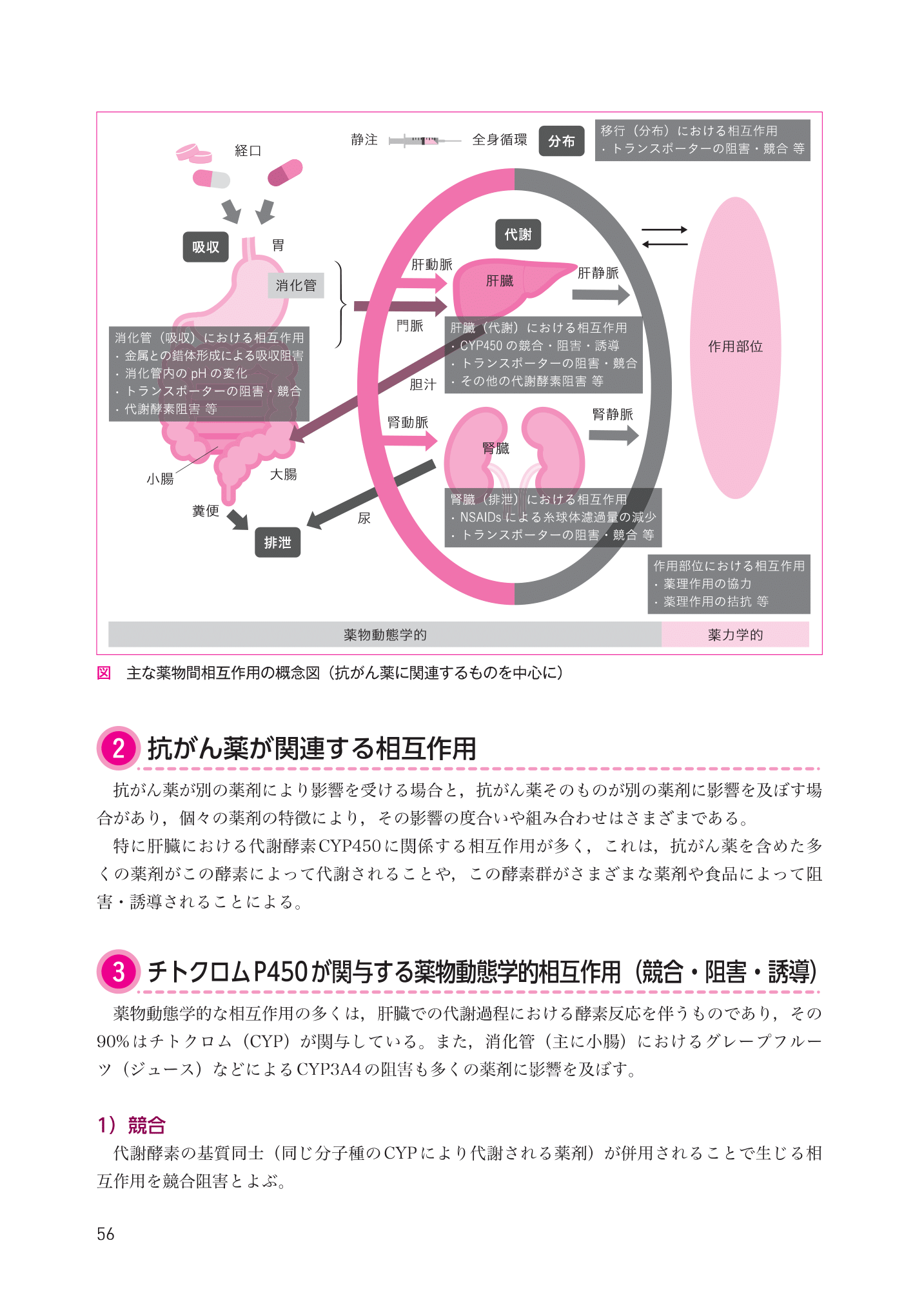 臨床腫瘍薬学 第2版』特設サイト